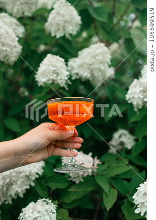 Female hand holding glass with Spritz Aperol alcohol summer drink outside on the blurred background of green park. Female hand holding glass with Spritz Aperol alcohol summer drink outside on the blurred background of green park. 105699519