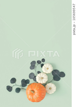 Autumn composition. Green desk with pumpkins and eucalyptus branch. Flat lay, top view, copy space. Nordic, hygge, cozy home concept. Thanksgiving fall decoration. Halloween Modern Invitation Mock up Autumn composition. Green desk with pumpkins and eucalyptus branch. Flat lay, top view, copy space. Nordic, hygge, cozy home concept. Thanksgiving fall decoration. Halloween Modern Invitation Mock up 105699547