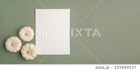 Blank paper sheet with Halloween decorations on pastel green background. Greeting card, invitation mockup. Place for inscription. Pumpkin. Modern Minimal business mock up, template. Flat lay, top view Blank paper sheet with Halloween decorations on pastel green background. Greeting card, invitation mockup. Place for inscription. Pumpkin. Modern Minimal business mock up, template. Flat lay, top view 105699557