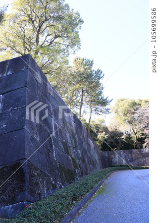 皇居東御苑の風景 皇居東御苑の風景 105699586