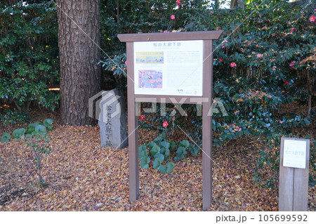 皇居東御苑松の大廊下跡の風景 105699592