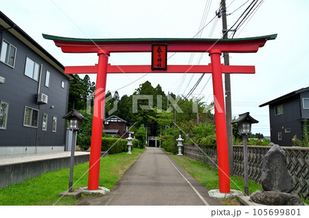 新潟県上越市春日のパワースポット　春日神社 105699801