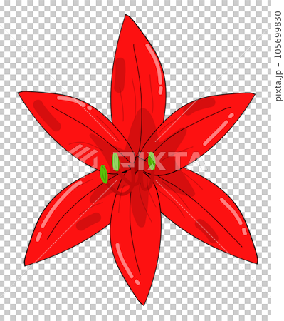 red flower isolated on white	 105699830