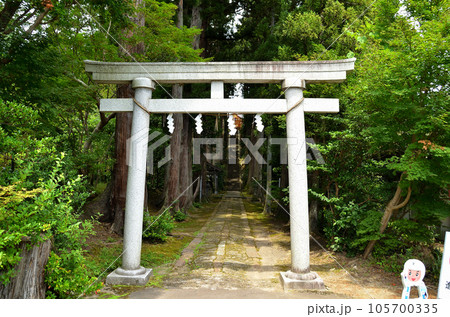 新潟県上越市春日のパワースポット　春日神社 105700335