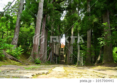 新潟県上越市春日のパワースポット 春日神社 新潟県上越市春日のパワースポット 春日神社 105700441