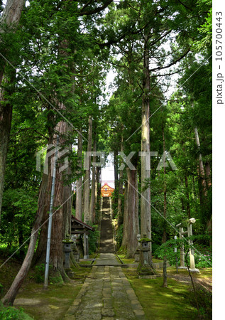 新潟県上越市春日のパワースポット 春日神社 新潟県上越市春日のパワースポット 春日神社 105700443