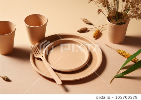 Dishes made of eco-friendly materials are on a tray Dishes made of eco-friendly materials are on a tray 105700579