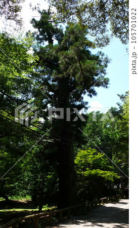 奈良 奈良県奈良市 奈良市 105701022