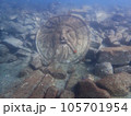 伊豆獅子浜ポイントの海底にある真実の口 105701954