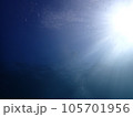 伊豆ダイビングで見るイワシの稚魚の群れ 105701956