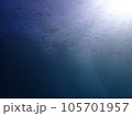 伊豆ダイビングで見るイワシの稚魚の群れ 105701957