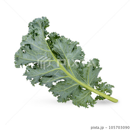 Fresh kale isolated on white background 105703090