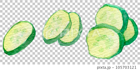 Watercolor illustration sliced cucumber 105703121