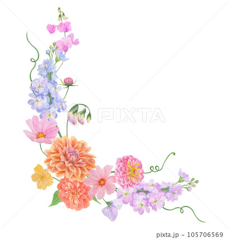 Watercolor botanical colourful frame of summer and autumn flowers: dahlia, zinnia, lathyrus, gillyflower, nasturtium. Good for wedding print products, paper, invitations, greetings, fabric, posters 105706569