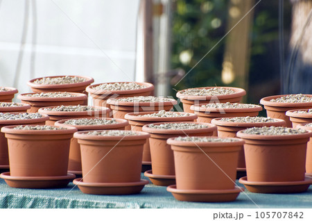 Clay pots Clay pots 105707842