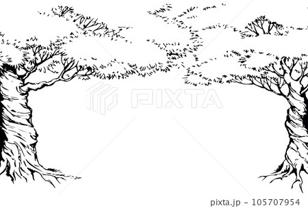 Vector background. Frame from trees Vector background. Frame from trees 105707954