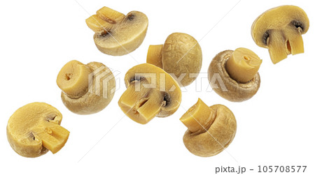 Marinated mushroom, pickled champignon isolated on white background Marinated mushroom, pickled champignon isolated on white background 105708577