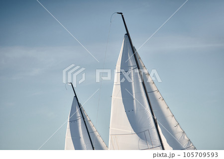 the tops of several sails are illuminated by the sun at sunset, clear sky, masts 105709593