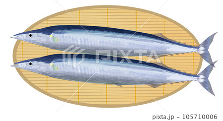 秋　さんま　味覚　魚　アイコン 105710006