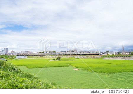 【中央本線】田園地帯を疾走する普通列車 105710425