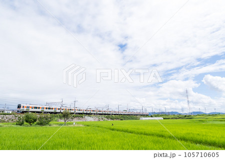 【中央本線】夏空の田園地帯を走行する普通列車 105710605