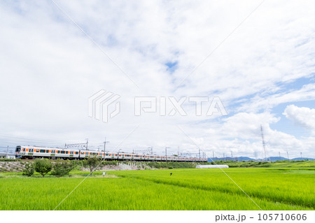 【中央本線】夏空の田園地帯を走行する普通列車 105710606