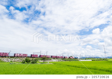 【中央本線】夏空の田園地帯を走行する貨物列車 【中央本線】夏空の田園地帯を走行する貨物列車 105710616