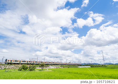 【中央本線】夏空の田園地帯を走行する普通列車 105710621