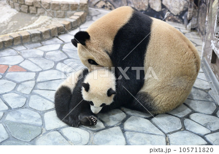 優浜と遊ぶ良浜ママ 優浜と遊ぶ良浜ママ 105711820