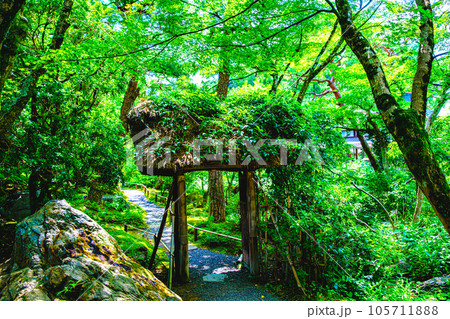 京都、白砂村荘の庭園 105711888
