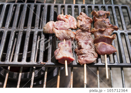 【オートキャンプ場でソロキャンプ　熾火で焼き鳥タン、ハツ、砂肝を焼く】 105712364