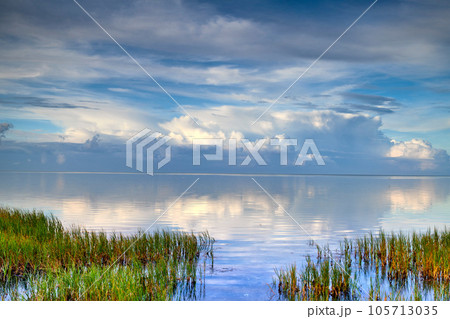 Landscape of sea, lake or lagoon against sky background with clouds and copy space. Gulf with reeds and wild grass growing on empty coast outside. Peaceful, calm and beautiful scenic view in nature 105713035