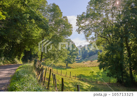Landscape view, countryside dirt road and path leading to agriculture fields or farm pasture in a remote area location. Scenery of quiet, lush green farming meadows and trees along a trail in France 105713325