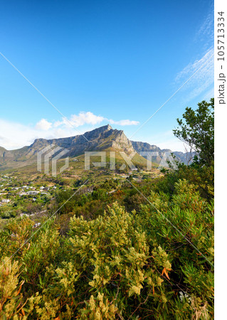 Natural green trees, bushes and a blue sky overlooking rocky cliffs on a hill. Beautiful landscape view of a mountain with fora in nature. Background of dry and grassy terrain in the great outdoors Natural green trees, bushes and a blue sky overlooking rocky cliffs on a hill. Beautiful landscape view of a mountain with fora in nature. Background of dry and grassy terrain in the great outdoors 105713334