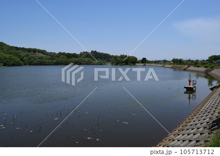 大山上池・下池 ラムサール条約登録地 105713712