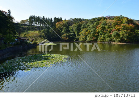 大山上池・下池 ラムサール条約登録地 105713713