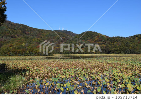 大山上池・下池 ラムサール条約登録地 105713714