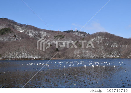 大山上池・下池 ラムサール条約登録地 105713716