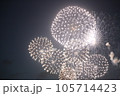 夏の夜空に咲く花火 105714423