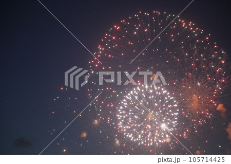 夏の夜空に咲く花火 105714425