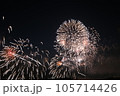 夏の夜空に咲く花火 105714426