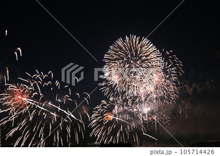 夏の夜空に咲く花火 105714426