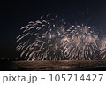 夏の夜空に咲く花火 105714427