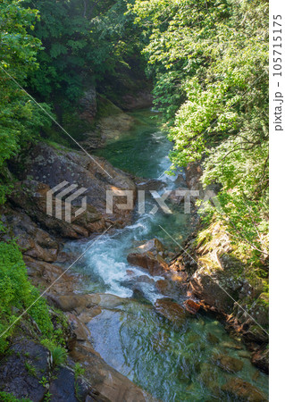 湯吹きの滝下流 湯檜曽川 真夏の風景 みなかみ町 湯吹きの滝下流 湯檜曽川 真夏の風景 みなかみ町 105715175