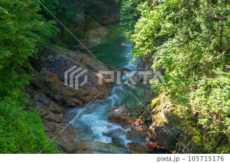 湯吹きの滝下流 湯檜曽川 真夏の風景 みなかみ町 湯吹きの滝下流 湯檜曽川 真夏の風景 みなかみ町 105715176