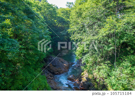 湯吹きの滝下流 湯檜曽川 真夏の風景 みなかみ町 湯吹きの滝下流 湯檜曽川 真夏の風景 みなかみ町 105715184