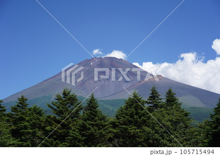 静岡県裾野市から望む夏の富士山 105715494