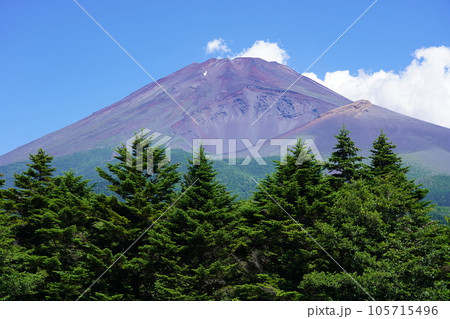 静岡県裾野市から望む夏の富士山 105715496