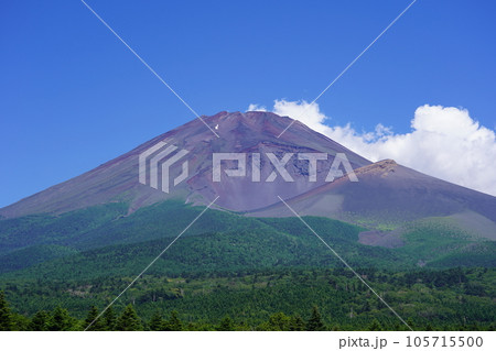 静岡県裾野市から望む夏の富士山 静岡県裾野市から望む夏の富士山 105715500