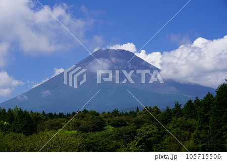 静岡県裾野市から望む夏の富士山 静岡県裾野市から望む夏の富士山 105715506
